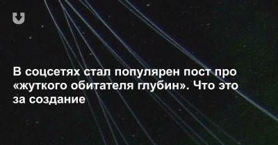 В соцсетях стал популярен пост про «жуткого обитателя глубин». Что это за создание - news.tut.by