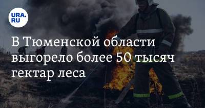 В Тюменской области выгорело более 50 тысяч гектар леса - ura.news - Тюменская обл.