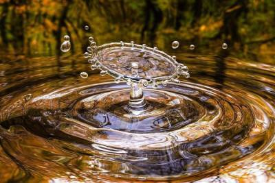 На Кубани возбуждено уголовное дело по факту нелегальной добычи водных биоресурсов - kuban.mk.ru - Сочи