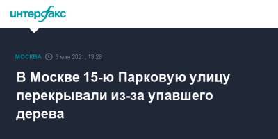 В Москве 15-ю Парковую улицу перекрывали из-за упавшего дерева - interfax.ru - Москва