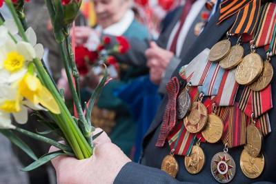 «Волонтеры Победы» навестили ветеранов Подмосковья более 10 тысяч раз - vm.ru - Московская обл.