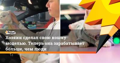 Хозяин сделал свою кошку моделью. Теперь она зарабатывает больше, чем люди - ridus.ru - Чунцин