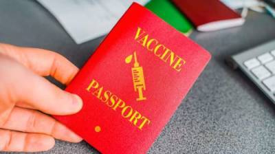 «Паспорта вакцинации» разблокируют украинцам въезд в Евросоюз - Кабмин - lenta.ua - Брюссель