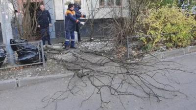 Николай Бондаренко - Вице-губернатор Бондаренко оценил уборку во всех районах города - piter.tv - Санкт-Петербург - р-н Приморский
