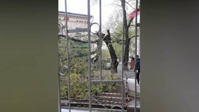 Два человека попали в больницы из-за ураганного ветра в Москве - vesti.ru - Москва