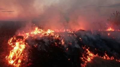 В Тюмени рядом с городом горит трава, за сутки в регионе произошло 88 пожаров - newdaynews.ru - Тюмень - Тюменская обл.