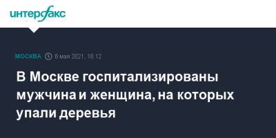 В Москве госпитализированы мужчина и женщина, на которых упали деревья - interfax.ru - Москва