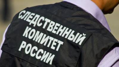 Светлана Петренко - Елена Ямпольская - СК РФ поддержал запрет на отождествление СССР и нацисткой Германии - nation-news.ru
