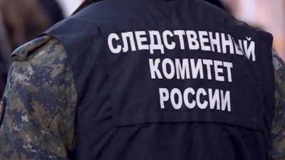 Расчлененный труп нашли в сумке под Петербургом - nation-news.ru - Ленинградская обл. - Санкт-Петербург - Кемеровская обл.