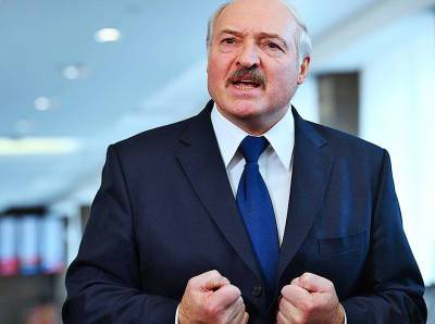 Александр Лукашенко - Немецкие адвокаты попросили возбудить дело против Лукашенко - newsland.com