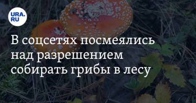 Ксения Собчак - В соцсетях посмеялись над разрешением собирать грибы в лесу. «Спасибо от крепостных» - ura.news - Twitter