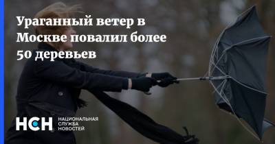 Ураганный ветер в Москве повалил более 50 деревьев - nsn.fm - Москва