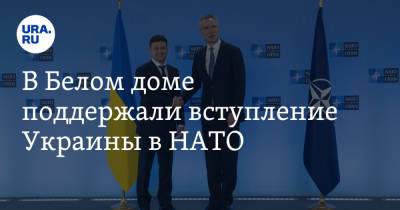 Владимир Зеленский - Джо Байден - Жан-Пьер Карин - В Белом доме поддержали вступление Украины в НАТО - ura.news