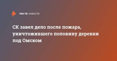 СК завел дело после пожара, уничтожившего половину деревни под Омском - ren.tv - Омск - Омская обл.