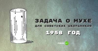 Математическая задачка о мухе, которую предлагалось решить советским школьникам - skuke.net - Интересно