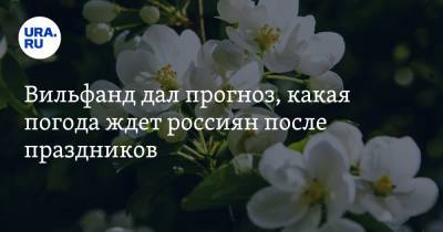 Роман Вильфанд - Вильфанд дал прогноз, какая погода ждет россиян после праздников - ura.news - Москва - ЦФО