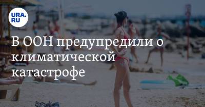 В ООН предупредили о климатической катастрофе. «Мы на краю пропасти» - ura.news