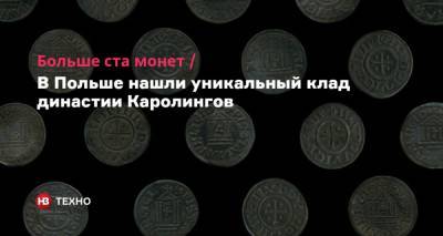 Больше ста монет. В Польше нашли уникальный клад династии Каролингов - nv.ua - Польша