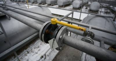 Сергей Густов - «Газпром» обещает бесплатно провести газ в дома площадью до 300 кв. м - klops.ru