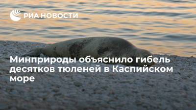 Минприроды объяснило гибель десятков тюленей в Каспийском море - ria.ru - Москва - Россия