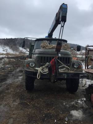 Житель Шебунино спилил 17 деревьев на 1 миллион 200 тысяч - sakhalin.info