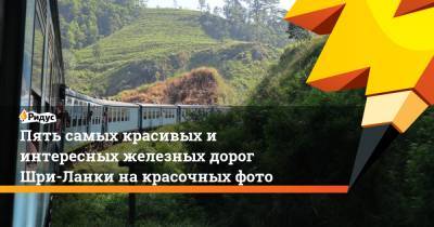 Пять самых красивых и интересных железных дорог Шри-Ланки на красочных фото - ridus.ru - Адлер - Шри Ланка