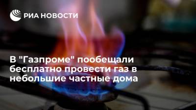 Владимир Путин - Михаил Мишустин - Сергей Густов - В "Газпроме" пообещали бесплатно провести газ в небольшие частные дома - ria.ru - Москва - Россия