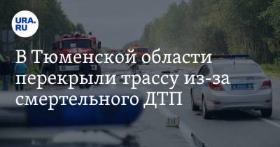 В Тюменской области перекрыли трассу из-за смертельного ДТП. Фото - ura.news - Тюмень - Тюменская обл. - Омск