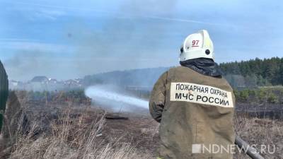 В свердловских лесах спасатели тушат 5 пожаров на площади 878 гектаров - newdaynews.ru - Свердловская обл.
