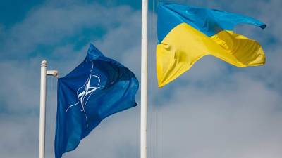 Леонид Пасечник - Глава ЛНР прокомментировал идею вступления Украины в НАТО - iz.ru - ЛНР
