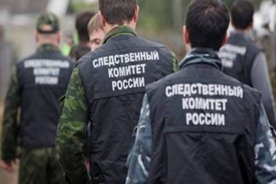 Подробности гибели подростка под поездом в Брянске рассказали в соцсетях - mk.ru - Брянск
