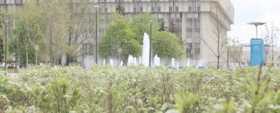 Дмитрий Миляев - 360 тысяч цветов и 460 молодых деревьев высадят на улицах Тулы - runews24.ru - Тула