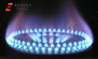 Владимир Путин - Сергей Густов - Владельцы каких частных домов могут бесплатно подключиться к газу - fedpress.ru - Москва