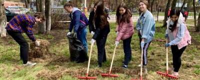 В Электрогорске прошел очередной городской субботник - runews24.ru - Электрогорск