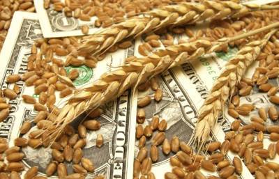 На экспорт ушло 39,2 млн т украинского зерна - agroportal.ua