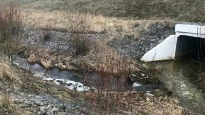 Оператора Пулково оштрафовали на 93 тысячи рублей за сброс сточных вод - piter.tv