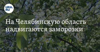 На Челябинскую область надвигаются заморозки - ura.news - Челябинская обл. - Челябинск