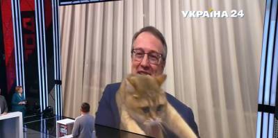 Антон Геращенко - Кот Антона Геращенко помешал его прямому эфиру (видео) - sharij.net - Румыния