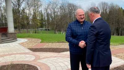 Виктор Янукович - Александр Лукашенко - Игорь Додон - Провал Додона: что делал экс-президент в «Межигорье» Лукашенко - bin.ua - Молдавия