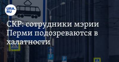 СКР: сотрудники мэрии Перми подозреваются в халатности - ura.news - Пермь - Пермский край