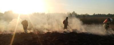 В трех районах Башкирии установлен высокий класс пожароопасности - runews24.ru - Башкирия - район Белорецкий