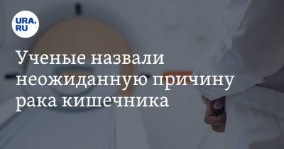 Ученые назвали неожиданную причину рака кишечника - ura.news