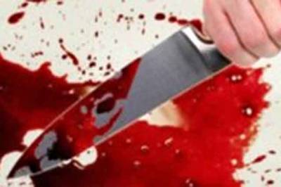 На Винничине жена в ходе ссоры убила своего мужа - real-vin.com - Винницкая обл.