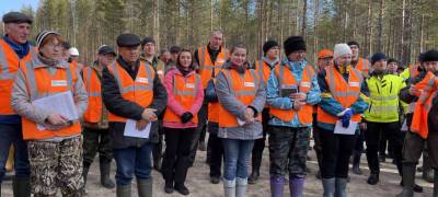 Предприятия Segezha Group первыми в Карелии внедряют интенсивную модель лесопользования - stolicaonego.ru - республика Карелия - Экология