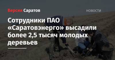 Сотрудники ПАО «Саратовэнерго» высадили более 2,5 тысяч молодых деревьев - nversia.ru - Саратовская обл. - Волгоградская обл. - Экология