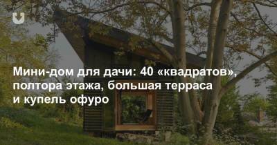 Мини-дом для дачи: 40 «квадратов», полтора этажа, большая терраса и купель офуро - news.tut.by