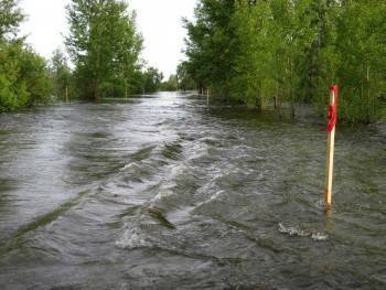 Сильные дожди вновь вызовут повышение уровня воды в реках Вологодской области - vologda-poisk.ru - Вологодская обл. - Вологда