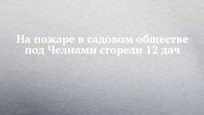 На пожаре в садовом обществе под Челнами сгорели 12 дач - chelny-izvest.ru - Набережные Челны