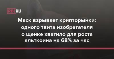 Илон Маск - Маск взрывает крипторынки: одного твита изобретателя о щенке хватило для роста альткоина на 68% за час - rb.ru