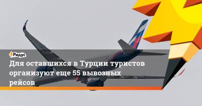 Для оставшихся вТурции туристов организуют еще 55 вывозных рейсов - ridus.ru - Турция